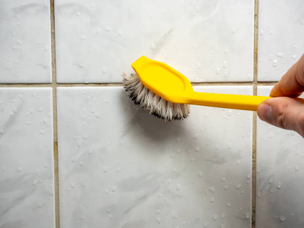 Mold Removal and Inspection in Hanover, IN