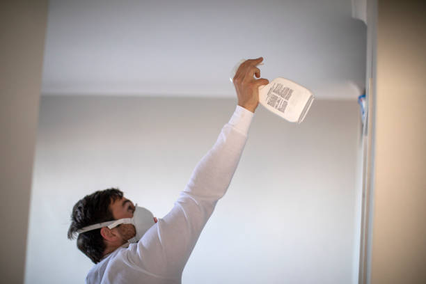 Best Office Mold Removal Services  in Hanover, IN